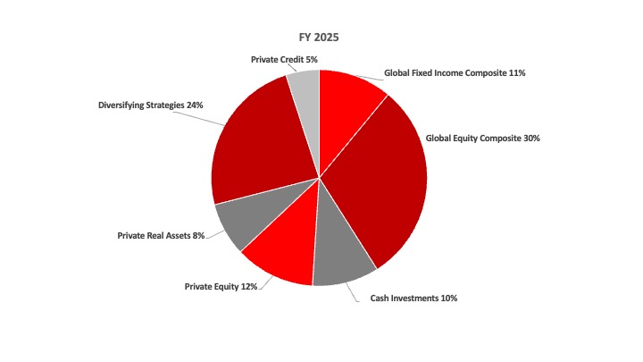 Piechart Full Year 2024
